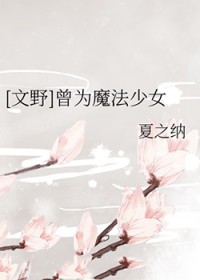 [文野同人] 曾为魔法少女